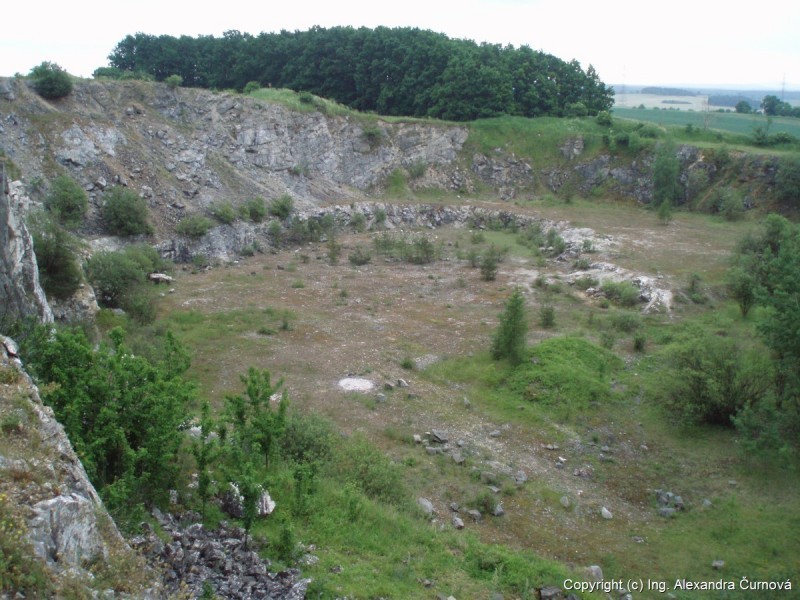 Grassland habitat in the SCI Nerestský lom